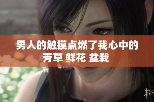 男人的觸摸點燃了我心中的芳草 鮮花 盆栽 