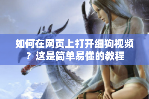 如何在網(wǎng)頁上打開細(xì)狗視頻？這是簡單易懂的教程