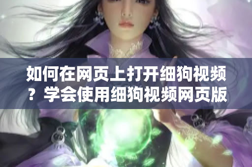 如何在網(wǎng)頁上打開細(xì)狗視頻？學(xué)會(huì)使用細(xì)狗視頻網(wǎng)頁版，輕松觀看精彩視頻