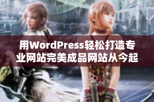 用WordPress輕松打造專業(yè)網(wǎng)站完美成品網(wǎng)站從今起!