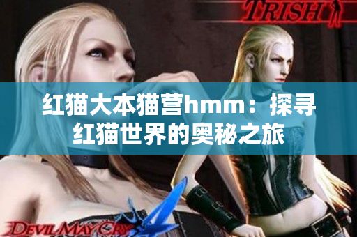 紅貓大本貓營hmm：探尋紅貓世界的奧秘之旅