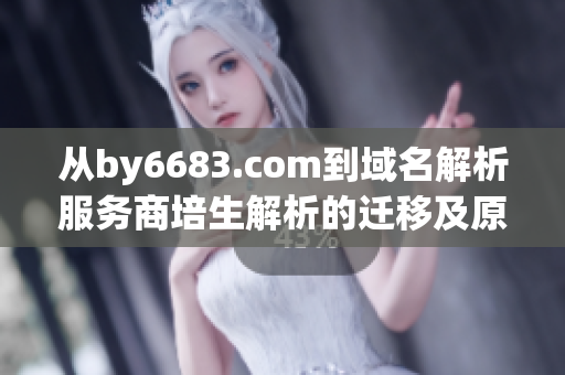 從by6683.com到域名解析服務(wù)商培生解析的遷移及原因分析