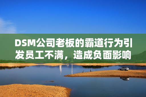 DSM公司老板的霸道行為引發(fā)員工不滿，造成負(fù)面影響