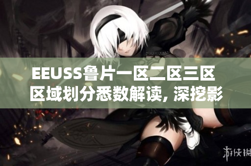 EEUSS魯片一區(qū)二區(qū)三區(qū) 區(qū)域劃分悉數(shù)解讀, 深挖影響和未來發(fā)展