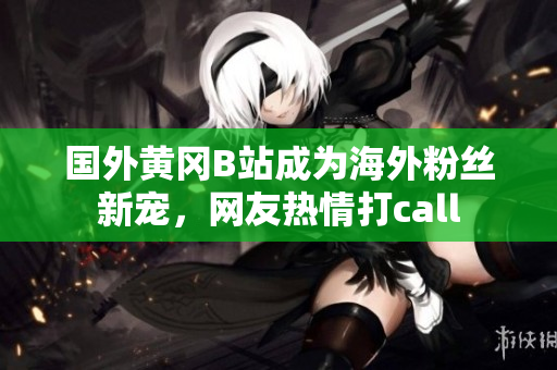 國外黃岡B站成為海外粉絲新寵，網(wǎng)友熱情打call