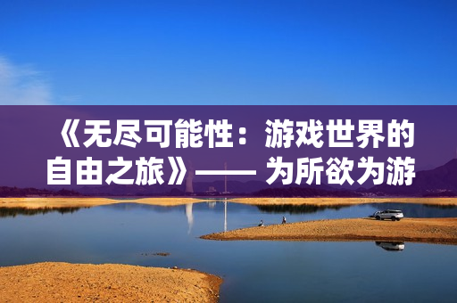 《無盡可能性：游戲世界的自由之旅》—— 為所欲為游戲漢化