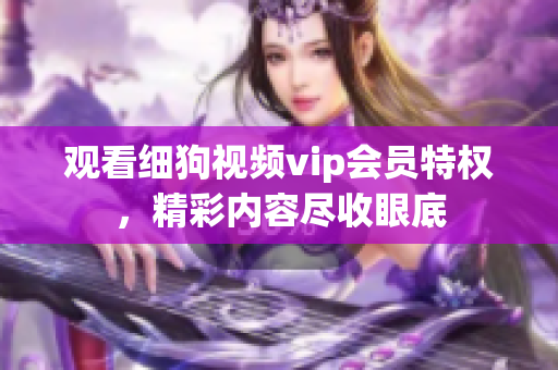 觀看細(xì)狗視頻vip會(huì)員特權(quán)，精彩內(nèi)容盡收眼底