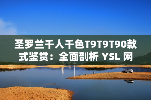 圣羅蘭千人千色T9T9T90款式鑒賞：全面剖析 YSL 網(wǎng)頁版完美展現(xiàn)