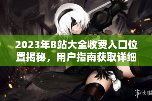 2023年B站大全收費入口位置揭秘，用戶指南獲取詳細信息
