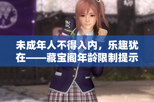 未成年人不得入內(nèi)，樂趣猶在——藏寶閣年齡限制提示