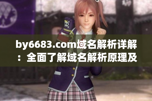 by6683.com域名解析詳解：全面了解域名解析原理及常見問題