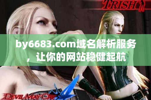by6683.com域名解析服務，讓你的網(wǎng)站穩(wěn)健起航