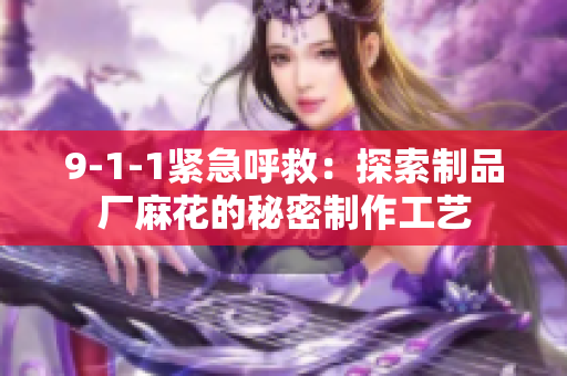 9-1-1緊急呼救：探索制品廠麻花的秘密制作工藝