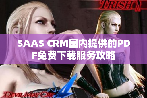 SAAS CRM國內(nèi)提供的PDF免費下載服務(wù)攻略