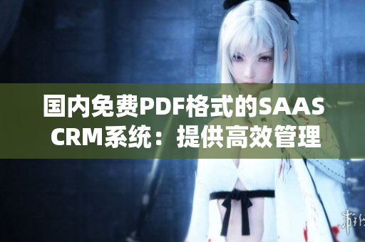 國內(nèi)免費PDF格式的SAAS CRM系統(tǒng)：提供高效管理與優(yōu)質服務