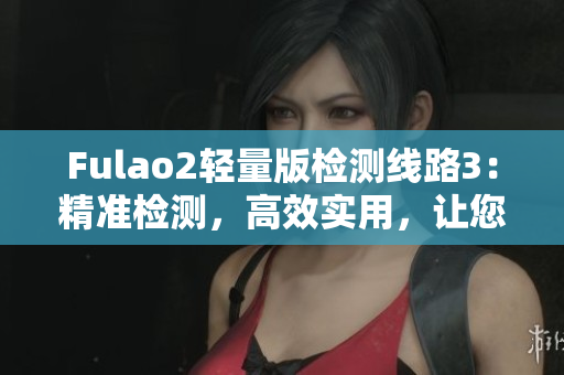 Fulao2輕量版檢測(cè)線路3：精準(zhǔn)檢測(cè)，高效實(shí)用，讓您的檢測(cè)更可靠