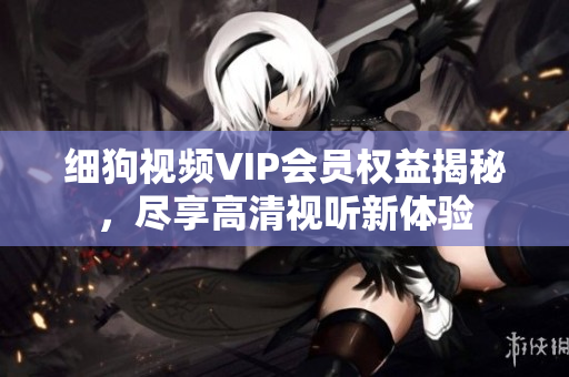 細(xì)狗視頻VIP會(huì)員權(quán)益揭秘，盡享高清視聽新體驗(yàn)