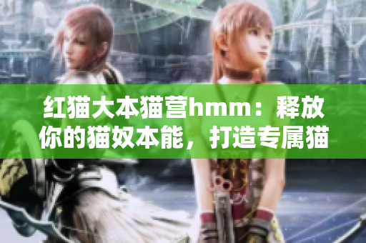 紅貓大本貓營hmm：釋放你的貓奴本能，打造專屬貓咪樂園