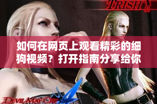 如何在網(wǎng)頁上觀看精彩的細(xì)狗視頻？打開指南分享給你