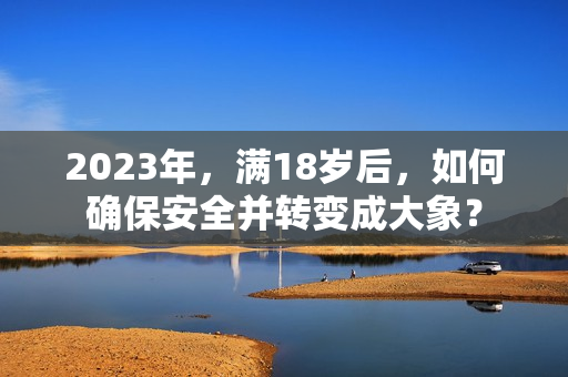 2023年，滿18歲后，如何確保安全并轉(zhuǎn)變成大象？