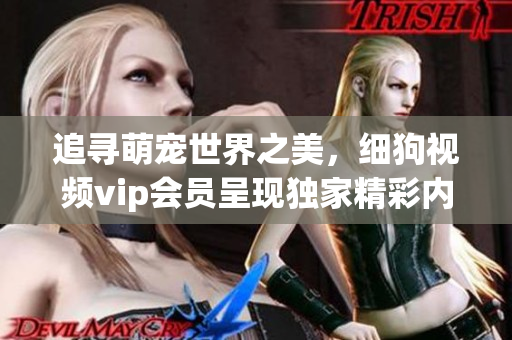 追尋萌寵世界之美，細(xì)狗視頻vip會(huì)員呈現(xiàn)獨(dú)家精彩內(nèi)容