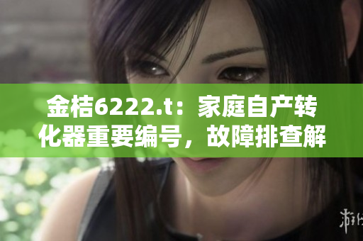 金桔6222.t：家庭自產(chǎn)轉(zhuǎn)化器重要編號，故障排查解析