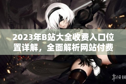 2023年B站大全收費(fèi)入口位置詳解，全面解析網(wǎng)站付費(fèi)服務(wù)最新動(dòng)向