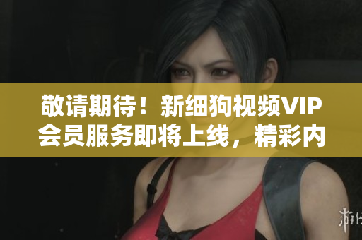 敬請(qǐng)期待！新細(xì)狗視頻VIP會(huì)員服務(wù)即將上線，精彩內(nèi)容盡收眼底