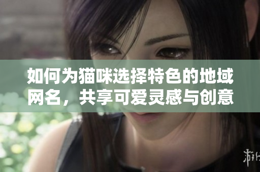 如何為貓咪選擇特色的地域網(wǎng)名，共享可愛靈感與創(chuàng)意