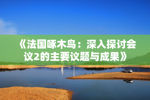 《法國啄木鳥：深入探討會議2的主要議題與成果》