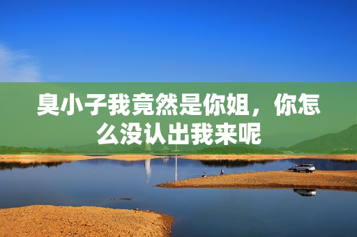 臭小子我竟然是你姐，你怎么沒認(rèn)出我來呢