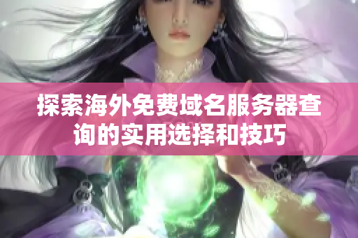 探索海外免費(fèi)域名服務(wù)器查詢的實(shí)用選擇和技巧