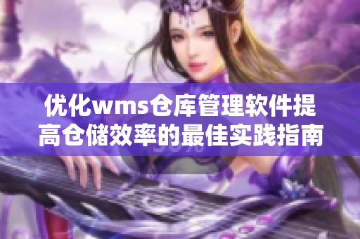 優(yōu)化wms倉庫管理軟件提高倉儲效率的最佳實踐指南