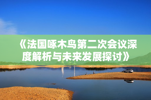 《法國啄木鳥第二次會議深度解析與未來發(fā)展探討》