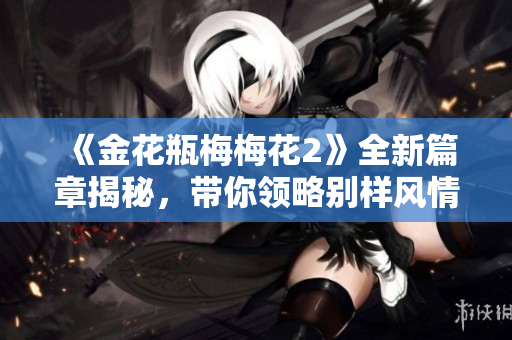《金花瓶梅梅花2》全新篇章揭秘，帶你領(lǐng)略別樣風(fēng)情與動人故事