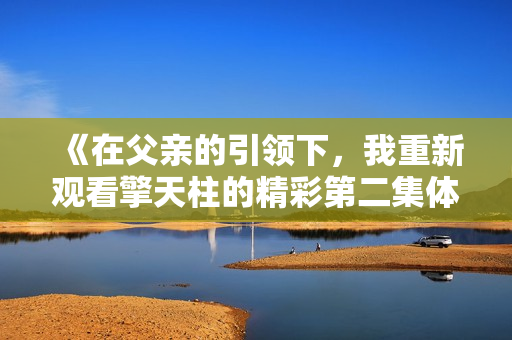 《在父親的引領(lǐng)下，我重新觀看擎天柱的精彩第二集體驗》