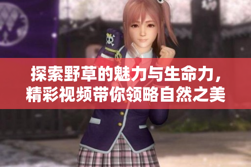 探索野草的魅力與生命力，精彩視頻帶你領(lǐng)略自然之美